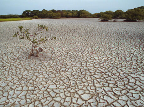 Water Scarcity