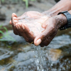 Close-up of cupped hands holding water over a stream