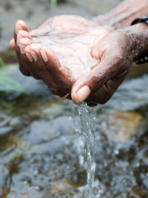 Close-up of cupped hands holding water over a stream
