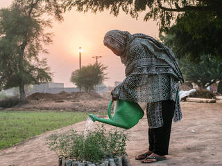 Woman watering plants