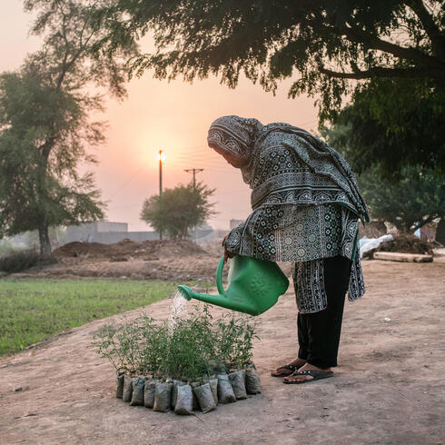 Woman watering plants