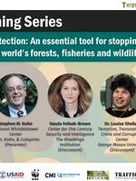 Whistleblower protection: An essential tool for stopping the corruption that threatens the world’s forests, fisheries and wildlife Brochure