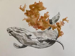 An illustration of a whale in black with brown kelp nearby