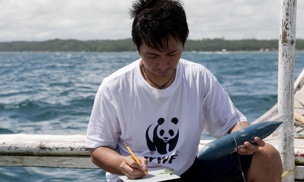 Whale Shark Research