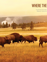 Where the Buffalo Roam Brochure