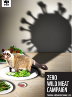 Zero Wild Meat Campaign Through a Behavior Change Lens Brochure