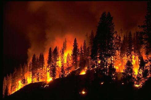 wildfire at night