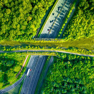 Aerial view of a bridge filled with vegetation over a multi-lane highway