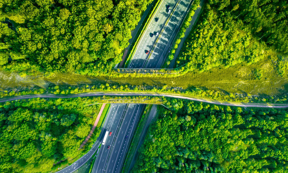 Aerial view of a bridge filled with vegetation over a multi-lane highway