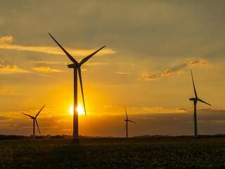 Windmills at sunset