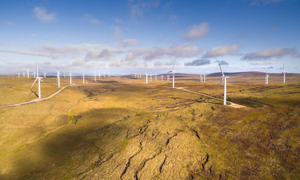wind turbines stretch across peat landscape