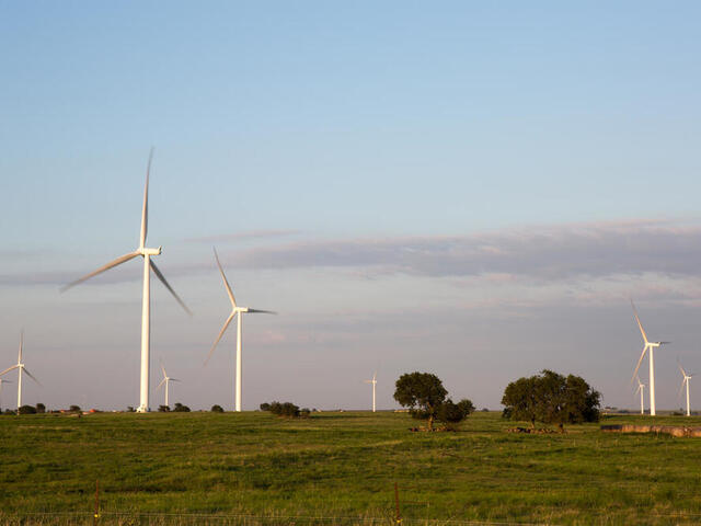 Wind turbines fill the landscape at Tyler Bluff Wind Facility in Muenster, Texas. Tax revenue from this project provides financial support to social services in the city.