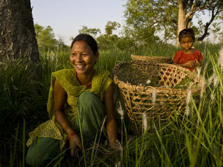 Women in Nepal tending to the grasses