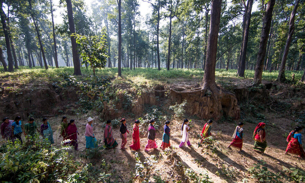 women walk in Nepal forest