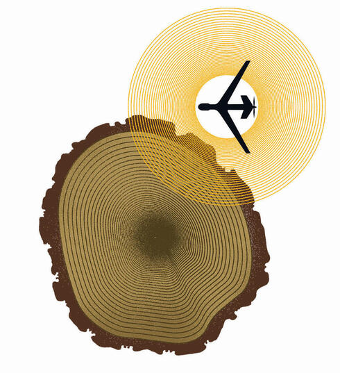 Graphic showing wood cross-section and plane