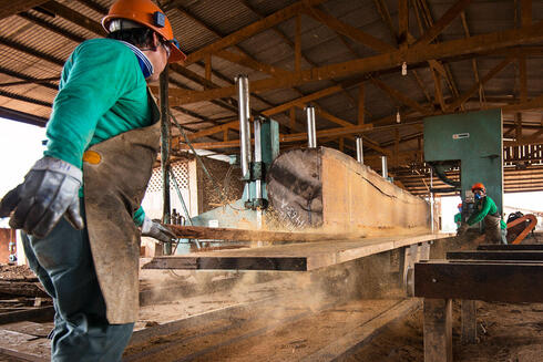 Workers processing wood in Puerto Maldonado