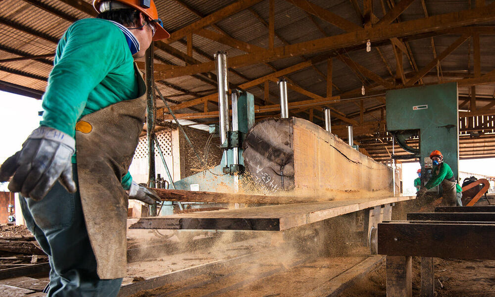 Workers processing wood in Puerto Maldonado