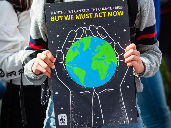 5 Ways WWF Helped Fight The Climate Crisis In 2022 YourEarth Solutions