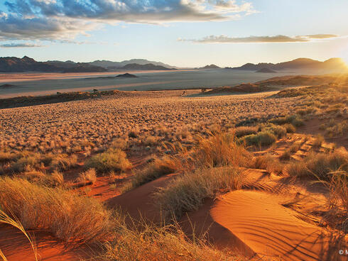Namibia desert