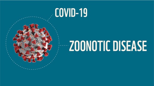 COVID is a zoonotic disease