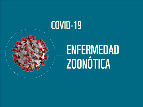 Zoonotic diseases - COVID Spanish