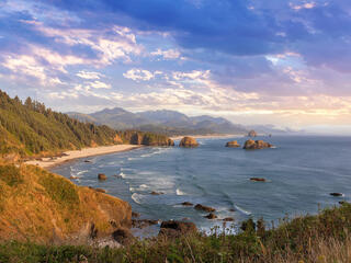 Beach landscape