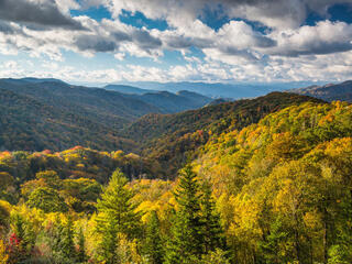 Piedmont landscape