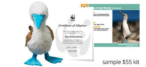 Blue-footed Booby Plush and Adoption Certificate