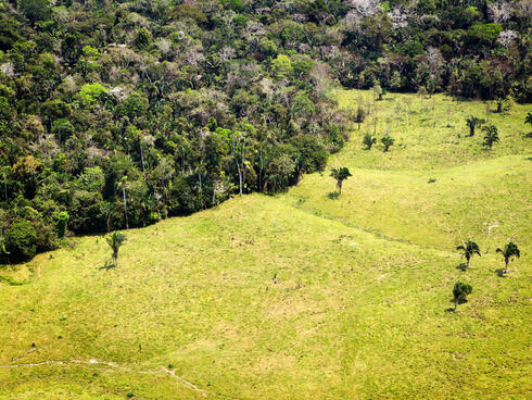Aerial shot showing deforestation in Amazon rainforest in Acre, Brazil.