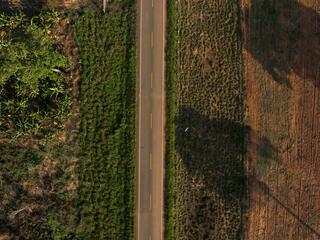 aerial view of Interoceanic Highway bisecting Amazon forest to the left and cleared forest to the right