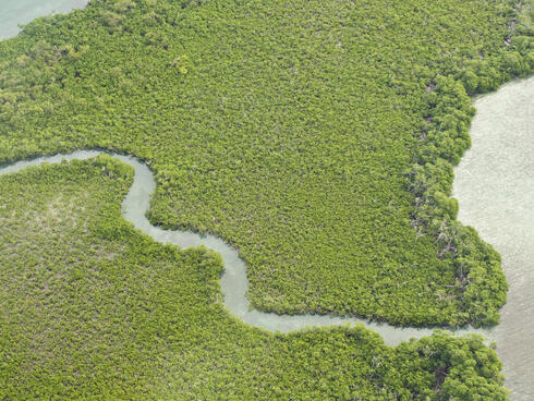 Aerial view of ocean in Belize.