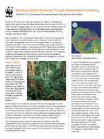 A Brief for U.S. Companies Purchasing Forest Products from the Amazon Brochure