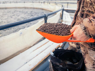 person holds up a scoop of feed in front of an aquaculture pond