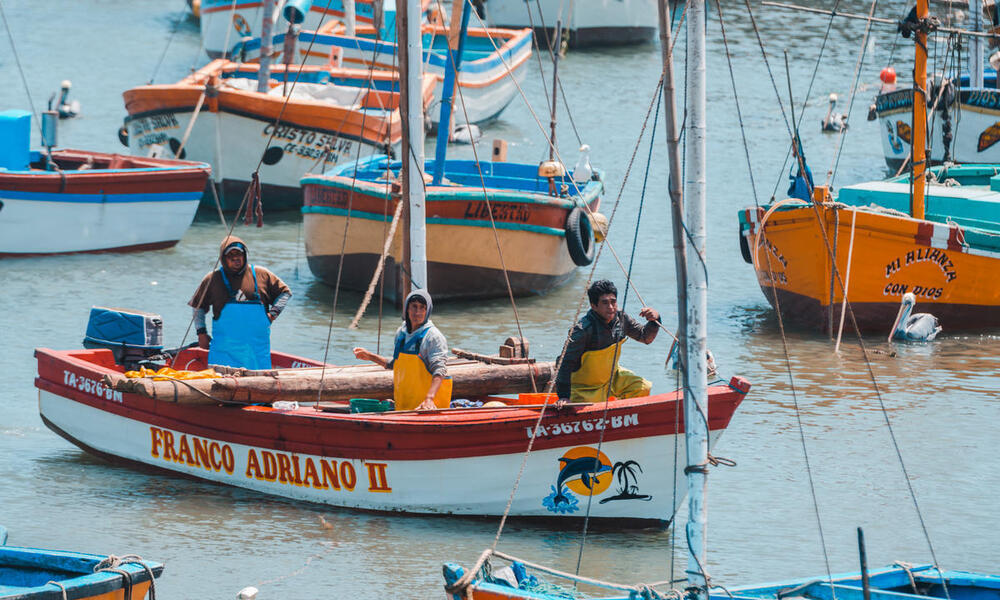 3 men in a small fishing boat on the water surrounded by other unmaned fishing boats