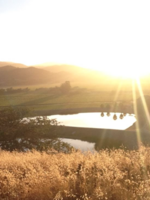 Alliance for Water Stewardship in California's Central Valley Brochure