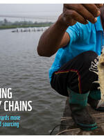 Blueprint for future-proofing shrimp supply chains Brochure