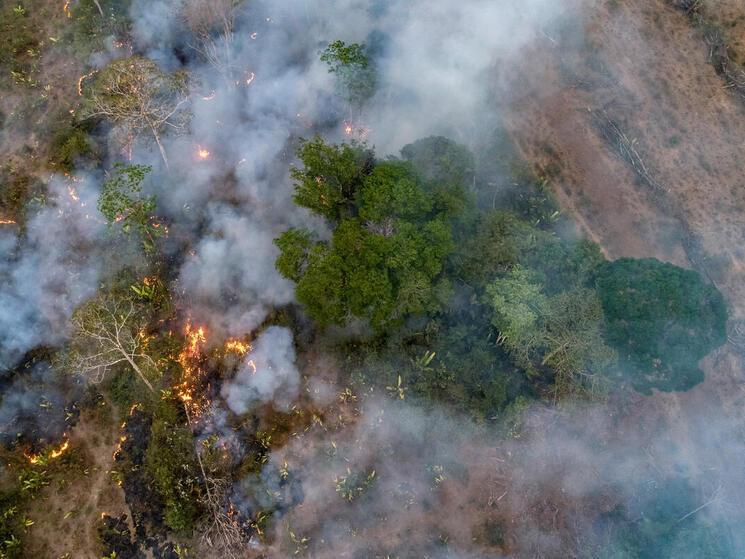 Aerial view of deliberate forest fire for planting soybeans