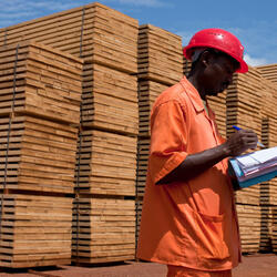 A man checks paperwork in front of stacks of lumber