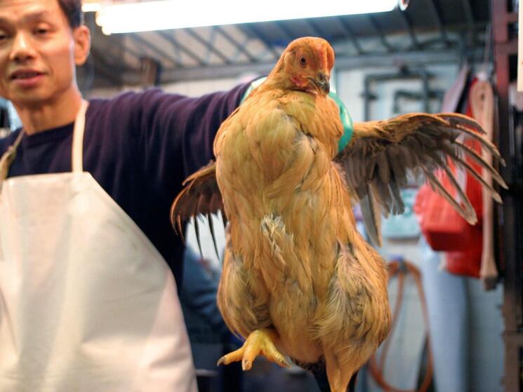 Chicken in a market in China