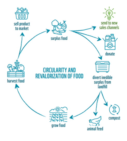 graphic illustrating circular food system
