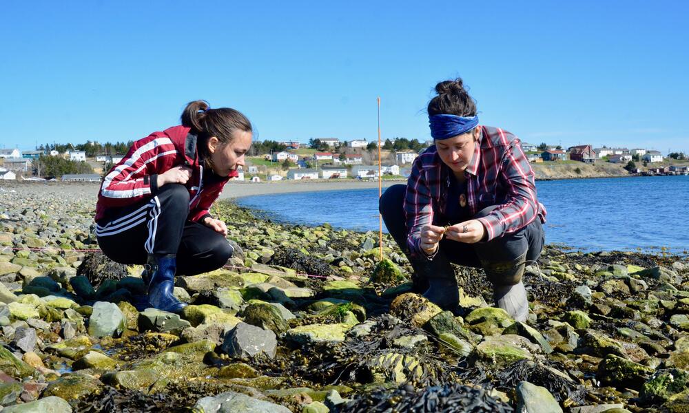 two women crouching down on a rocky shoreline examining rocks