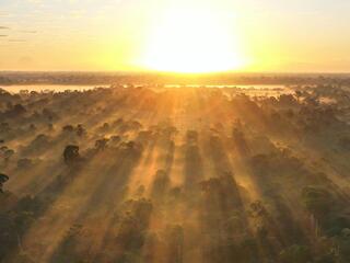 sunrise through mist over trees in Discovery National Park, Bahia, Prado, Brazil