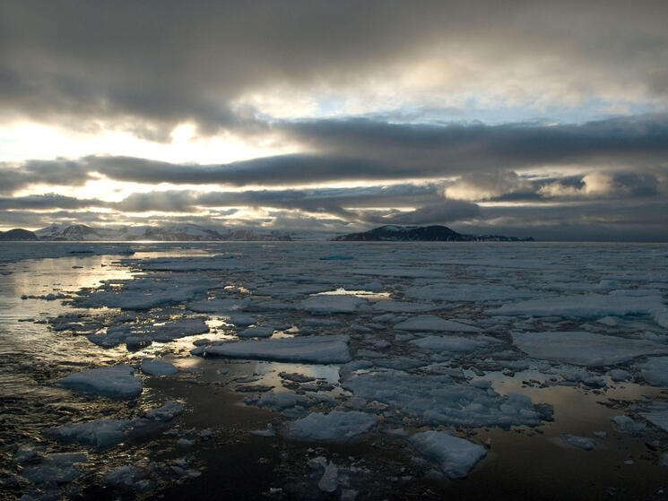 Climate change leads to the loss of sea ice in the Arctic, which leads to an increase in sea level rise.