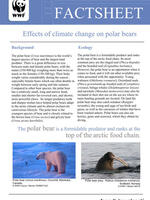 Effects of Climate Change on Polar Bears fact sheet Brochure