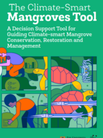 Climate-Smart Mangrove Support Tool Brochure