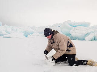 A scientist kneeling in the snow, using shovel to collect sample