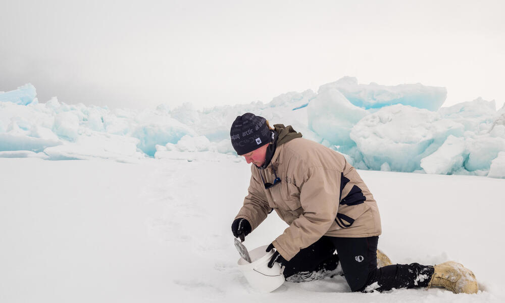 A scientist kneeling in the snow, using shovel to collect sample