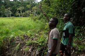 two men overlook a forest clearing as part of a community biomonitoring project