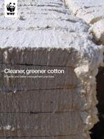 Cleaner, Greener Cotton: Impacts and Better Management Practices Brochure