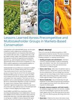 Lessons Learned Across Precompetitive and Multistakeholder Groups in Markets-Based Conservation Brochure